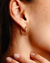 Load image into Gallery viewer, Chiara Earrings in Yellow Gold