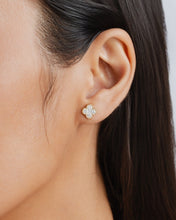 Load image into Gallery viewer, Signature Clover Earrings
