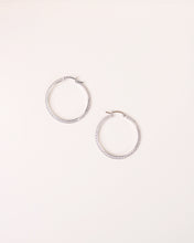 Load image into Gallery viewer, Elin Earrings (Small)
