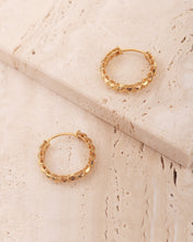 Load image into Gallery viewer, Chiara Earrings in Yellow Gold
