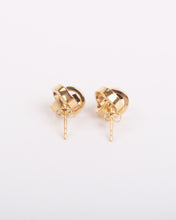 Load image into Gallery viewer, Melina Earrings
