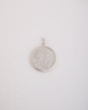 Load image into Gallery viewer, Lucky Dragon and Fortune Medallion
