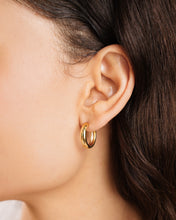 Load image into Gallery viewer, Charlotte Hoop Earrings
