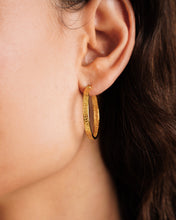 Load image into Gallery viewer, Giovanna Hoop Earrings

