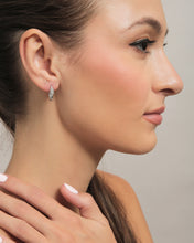 Load image into Gallery viewer, Carabiner Earrings

